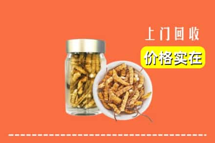 宾阳县回收散虫草