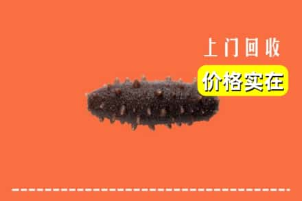 宾阳县回收海参