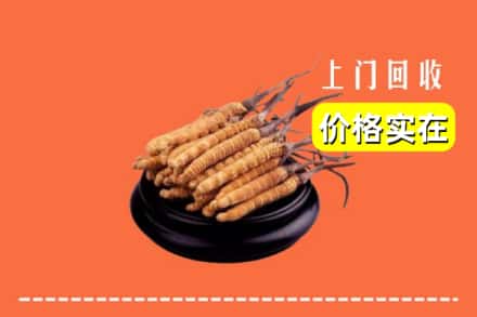 宾阳县回收冬虫夏草
