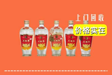 宾阳县回收老五粮液